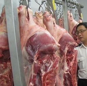 91视频高清免费设备厂家