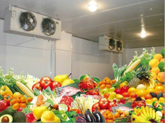 安徽某合作社的水果保鲜冷库安装完工