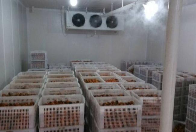 跟着安徽91视频APP下载污一起来了解下影响冷库设备制冷效果的几个因素吧！