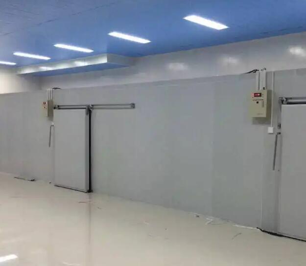 鲜花保鲜冷库如何配置效果更好？请看安徽91视频APP下载污冷库厂家的介绍