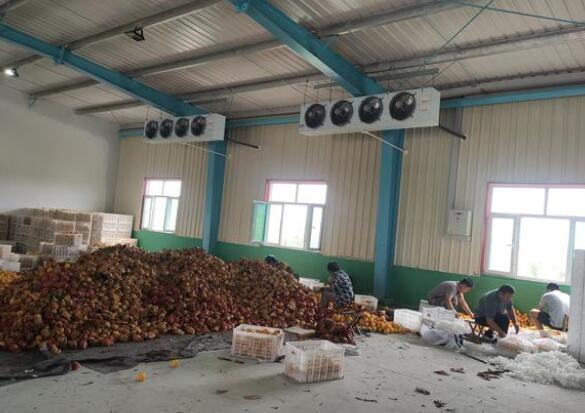 保鲜冷库有什么特点！请看安徽91视频APP下载污冷库厂家的介绍！